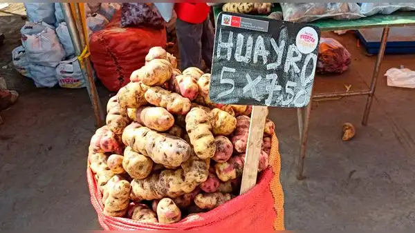 ¿Cuáles son las variedades de papa más consumidas del Perú?