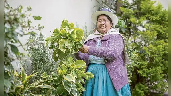 Reanudan exhumaciones en el cuartel Los Cabitos