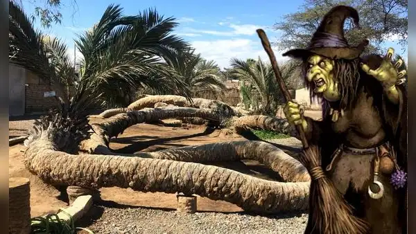 La palmera de 7 cabezas: una atracción turística de Ica conocida por sus misterios