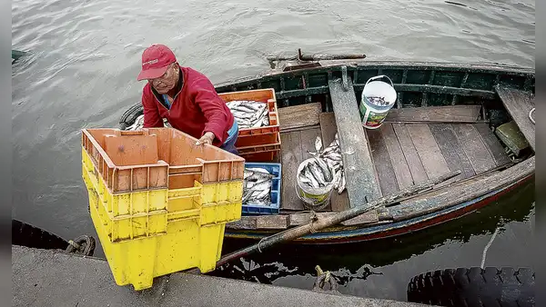 Congreso propone reactivar la pesca artesanal a través de las compras estatales