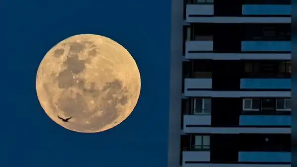 Superluna de ciervo 2022: así se vio la luna llena más grande y brillante del año