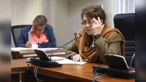 Gladys Echaíz: fue un error que el Congreso consultara al TC por artículo 117 de la Constitución