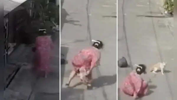 Mujer lanza agua a un gato, este cobra venganza y no la suelta hasta hacerla caer al piso