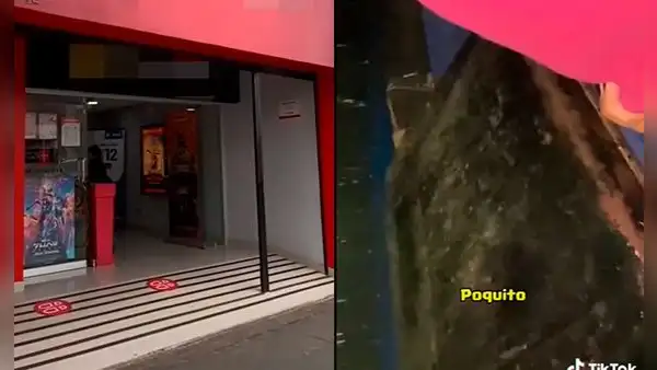 Visita el cine más barato del Callao y descubre asientos oxidados, sin resortes y con sangre