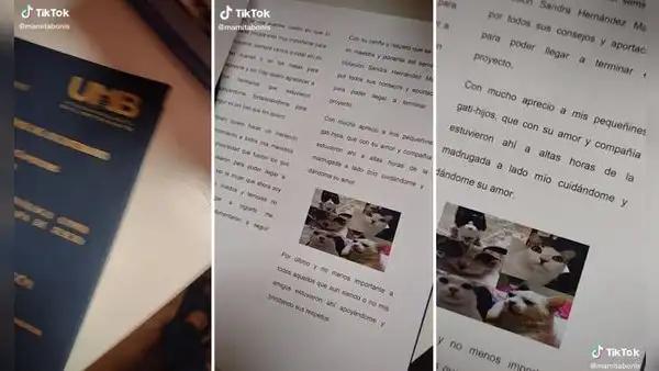 Estudiante sorprende con tierna dedicatoria de tesis para sus gatos por siempre acompañarla