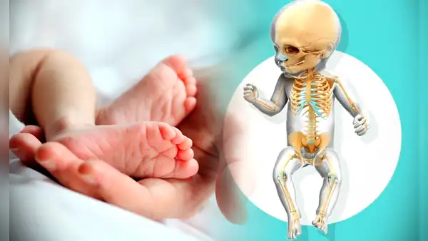¿Por qué los bebés al nacer tienen más huesos que los adultos?