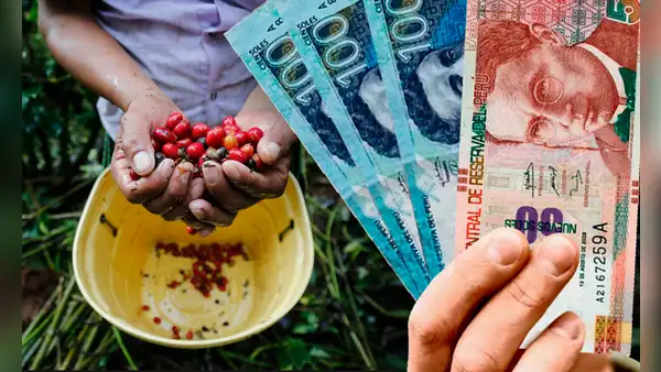 Fertiabono: ¿a qué productores y qué cultivos beneficiará este nuevo subsidio del Gobierno?