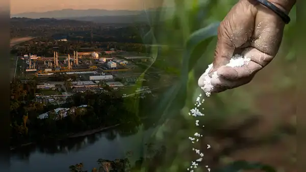 Una planta de urea en el Perú: ¿qué se necesita para producir este fertilizante en el país?