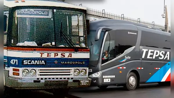 ¿Qué pasó con Tepsa, la empresa peruana que conquistó 3 países y cerró en la pandemia?