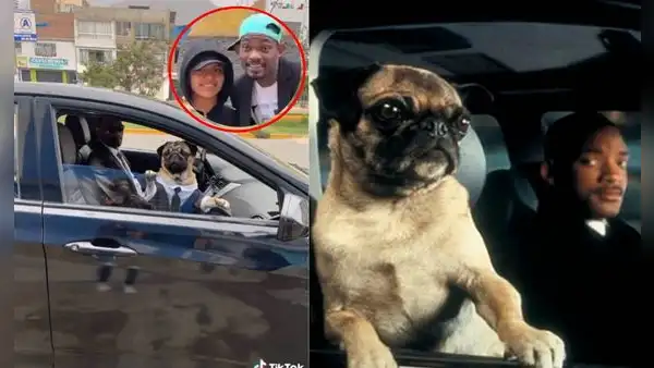 ‘Will Smith venezolano’ es captado con perro pug al mismo estilo de “Los hombres de negro”