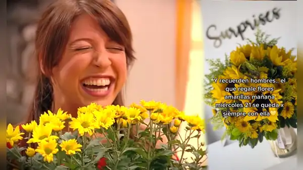 Floricienta: ¿por qué se relacionan las flores amarillas con la famosa telenovela argentina?