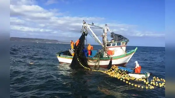 INEI: Pesca y consumo interno de cemento cerraron el 2022 con pérdidas