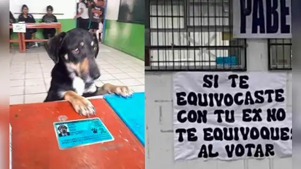 Elecciones 2022: los mejores memes de la última contienda electoral  