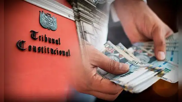 Declaran inconstitucional el cobro de intereses moratorios a empresas