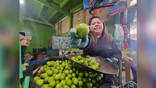 ¿Cuál es el precio del limón, la papa, frutas y verduras en los mercados de Lima?