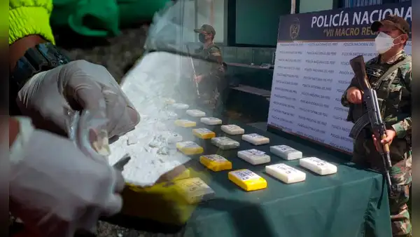 ¿Qué se hace con la droga incautada en el Perú?
