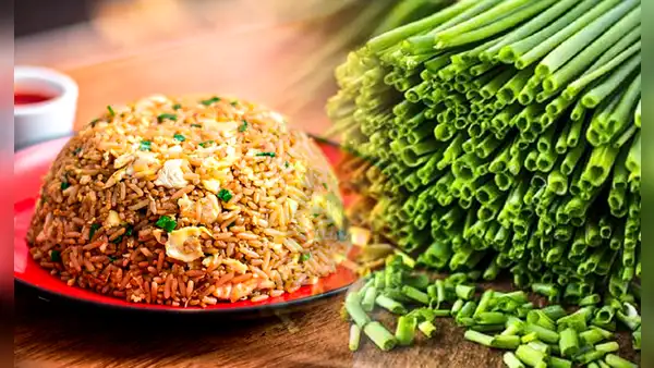 ¿Con qué otros ingredientes se puede sustituir la cebolla china en nuestras comidas?