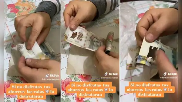 Joven descubre que una rata se comió sus ahorros y se lamenta por no haberlo gastado antes