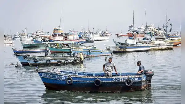 INEI: la producción pesquera cayó 70,60% durante mayo