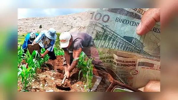 FertiAbono 2023: este es el LINK para consultar con tu DNI si eres beneficiario