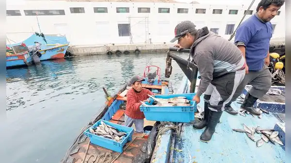 Pescadores artesanales exigen promulgación de la ley que protege las 5 millas