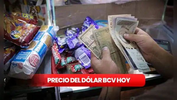 Precio del dólar BCV HOY, sábado 21 de octubre: tasa oficial según Banco Central de Venezuela