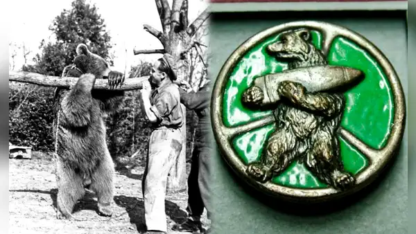 Wojtek, el oso soldado que se convirtió en un héroe de guerra por luchar contra los nazis