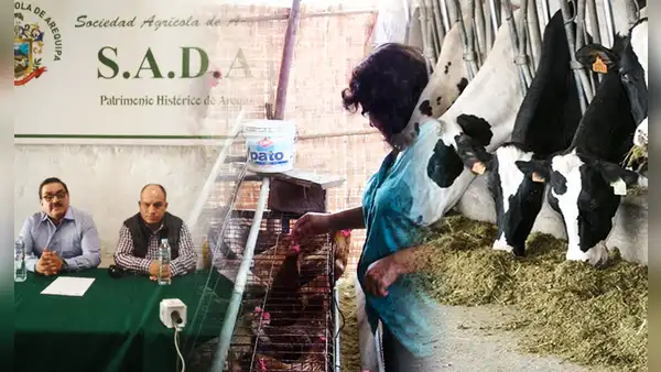 Producción de carne de pollo en riesgo por bloqueos que impiden ingreso de productos de Bolivia