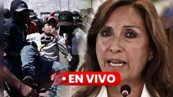 Dina Boluarte EN VIVO: presidenta declarará hoy ante Consejo Permanente de la OEA