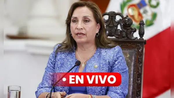 Dina Boluarte EN VIVO: hoy se realiza nueva marcha que pide la renuncia de la presidenta