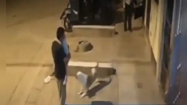 La Victoria: perro atacó a padre de familia y a su menor hija en brazos