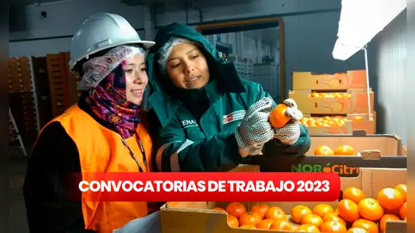 ¿Eres titulado? Senasa ofrece trabajo con hasta S/5.500 de sueldo