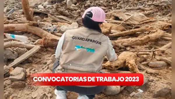 ¿Tienes primaria completa? Sernanp ofrece 30 empleos de hasta S/7.000