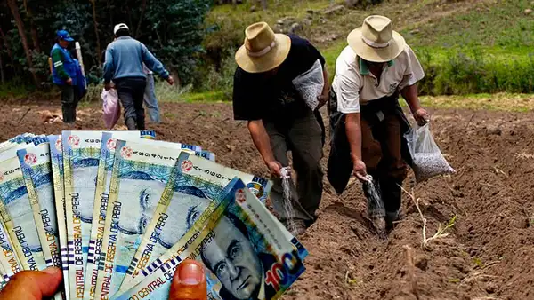 Bono FertiAbono 2023: conoce el LINK oficial y revisa si te corresponde este apoyo económico