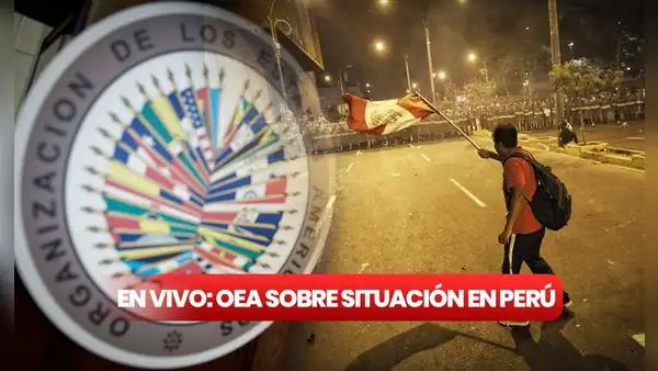 Consejo de la OEA EN VIVO: La OEA le pide al Gobierno peruano que convoque pronto elecciones