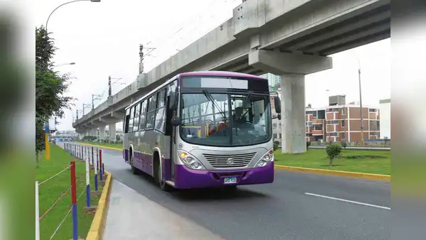 Corredor Morado: ¿por qué todas sus líneas podrían dejar de operar indefinidamente?
