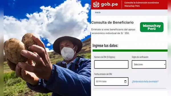 Bono Wanuchay 2023, LINK: consulta con tu DNI si eres beneficiario del subsidio agrario