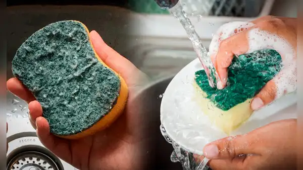 ¿Qué hacer para que mi esponja de cocina dure más tiempo?