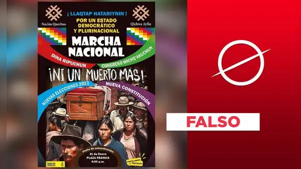Amnistía Internacional no fue autora de afiche que convocó una “marcha nacional” para el 31 de enero
