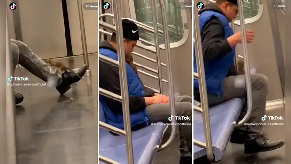 Hombre se queda dormido en el tren y una rata aprovecha para subirse a su cuello