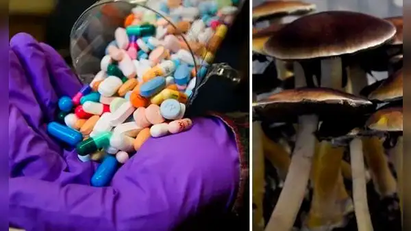 Australia legalizará el éxtasis y hongos alucinógenos para tratamientos psiquiátricos: ¿qué tan efectivos son?
