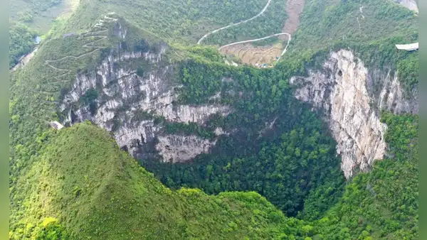 El gigantesco bosque que está oculto en un hoyo de 192 metros de profundidad