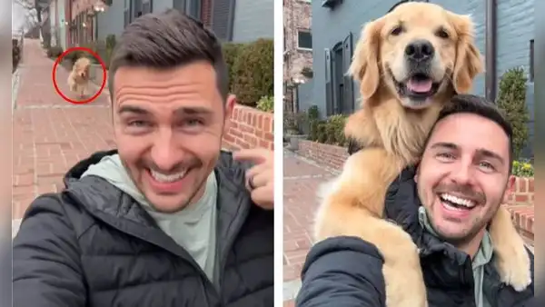 Perrito golden se sube a la espalda de su dueño y posa con una sonrisa para la foto
