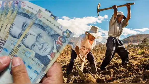 Bono Agrario 2023: LINK oficial para consultar con tu DNI y saber si eres beneficiario