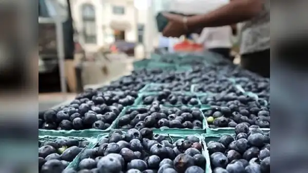 Agroexportaciones crecieron 13% en 2022 y completaron 7 años de avance consecutivo