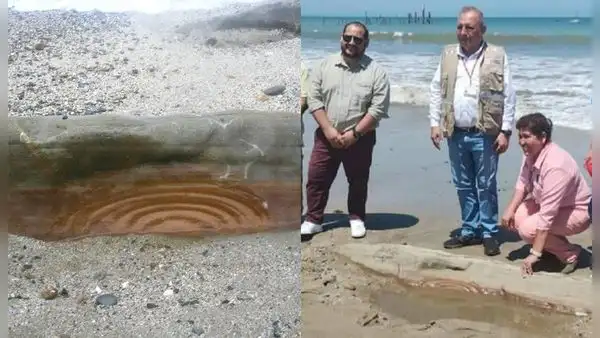 Tumbes: encuentran un petroglifo en la playa de Zorritos
