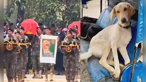 "Marquito", perro policía muere tras emboscada en el Vraem que dejó siete agentes fallecidos