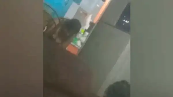 La Victoria: denuncian a mujer por golpear y ejercer tortura contra el hijo de su trabajadora
