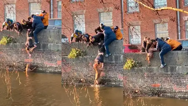 Perrito cae a canaleta de agua y jóvenes lo rescatan de una ingeniosa manera