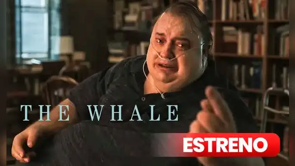 ¿Dónde VER "The whale" ONLINE vía STREAMING? Guía de la película nominada al Oscar 2023 con Brendan Fraser